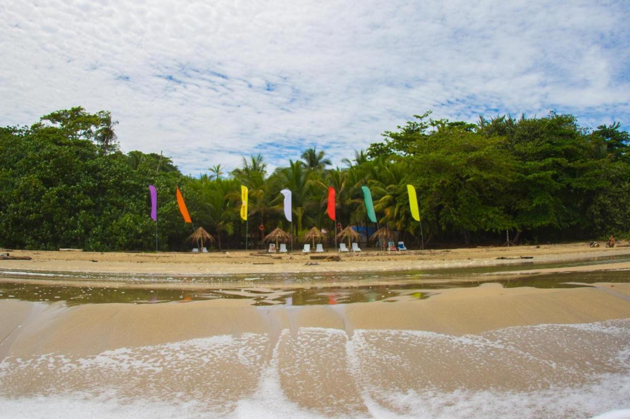 Playa 506 Beachfront Hostel Puerto Viejo de Talamanca Exteriér fotografie