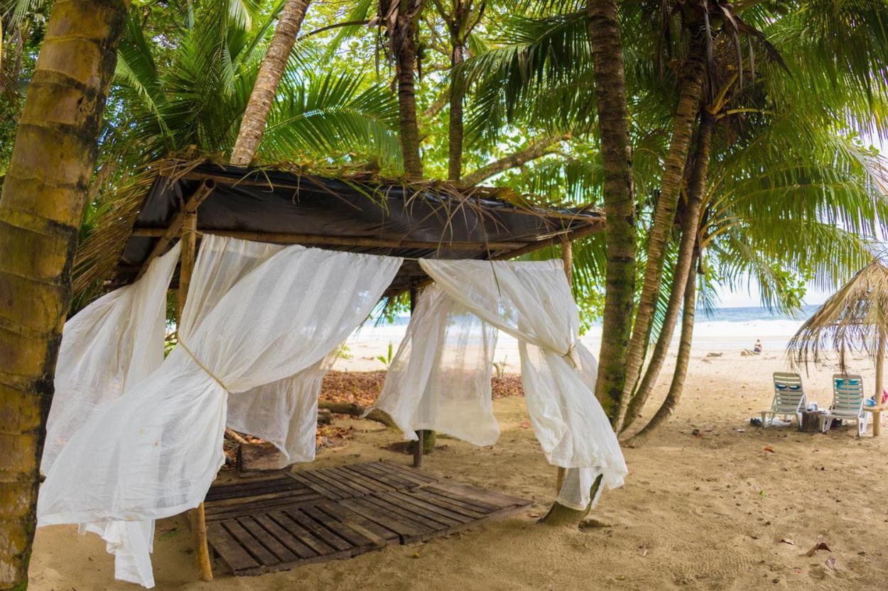 Playa 506 Beachfront Hostel Puerto Viejo de Talamanca Exteriér fotografie