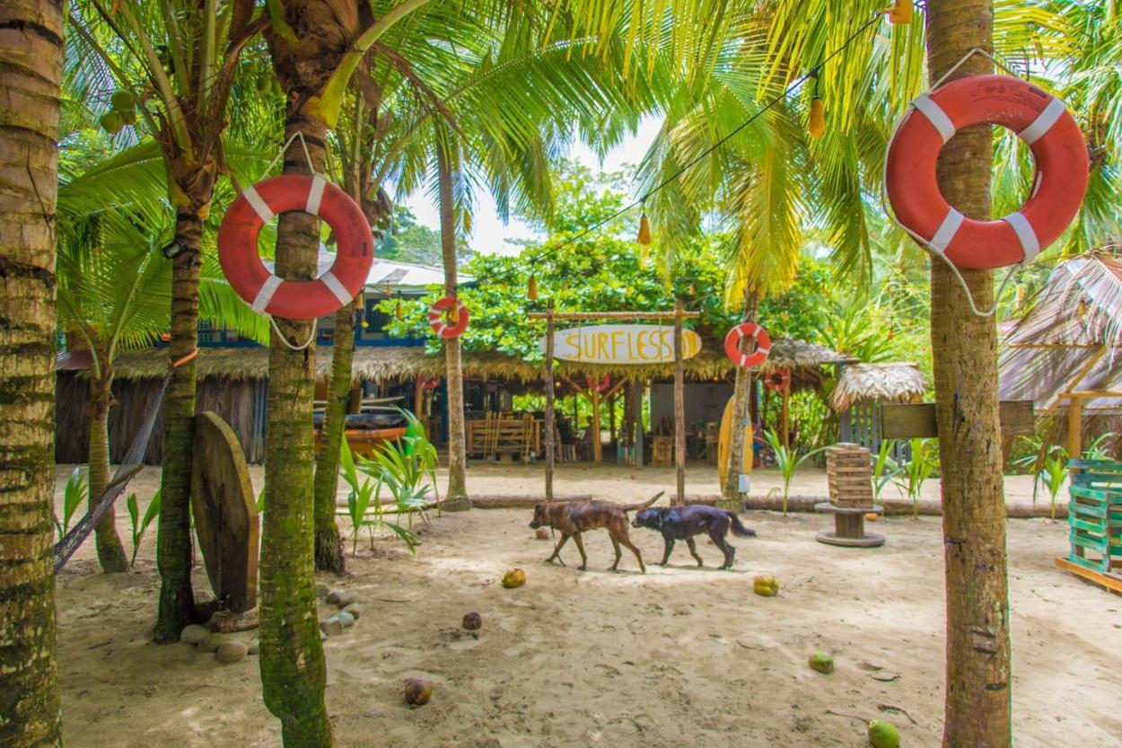 Playa 506 Beachfront Hostel Puerto Viejo de Talamanca Exteriér fotografie