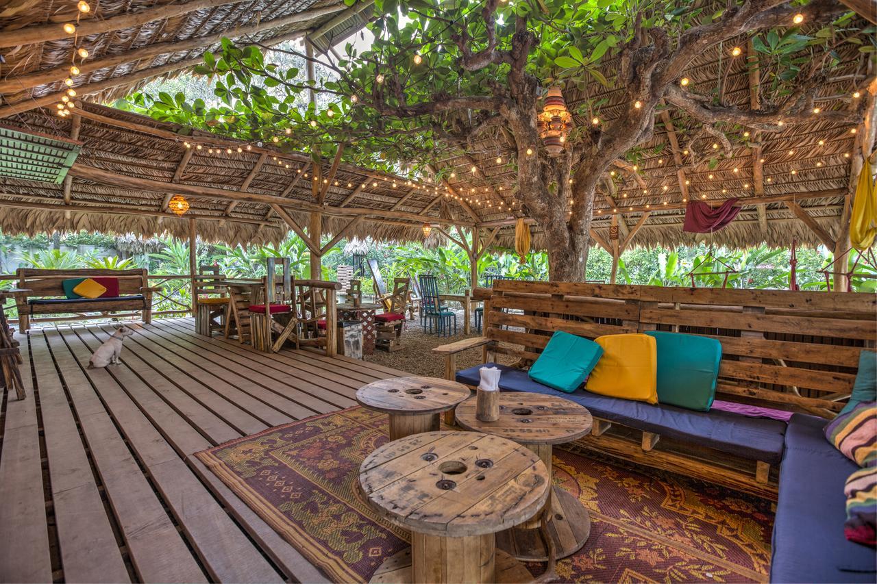 Playa 506 Beachfront Hostel Puerto Viejo de Talamanca Exteriér fotografie