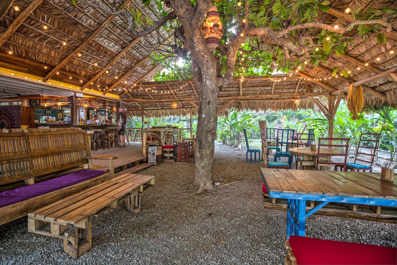 Playa 506 Beachfront Hostel Puerto Viejo de Talamanca Exteriér fotografie