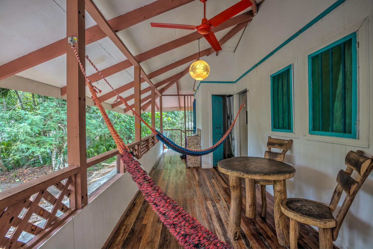 Playa 506 Beachfront Hostel Puerto Viejo de Talamanca Exteriér fotografie