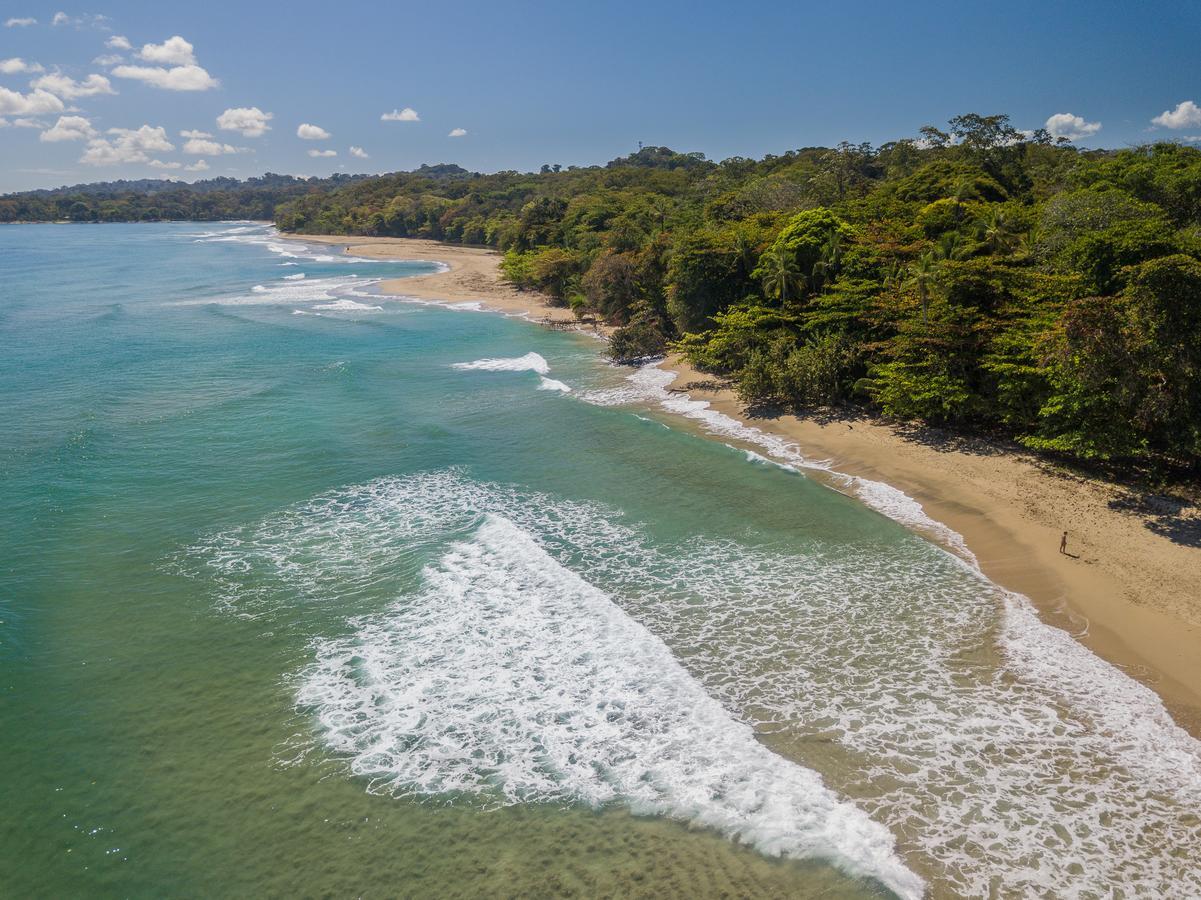 Playa 506 Beachfront Hostel Puerto Viejo de Talamanca Exteriér fotografie